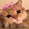 klairebeesley